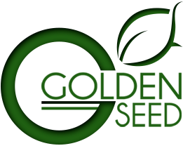 Golden Seed